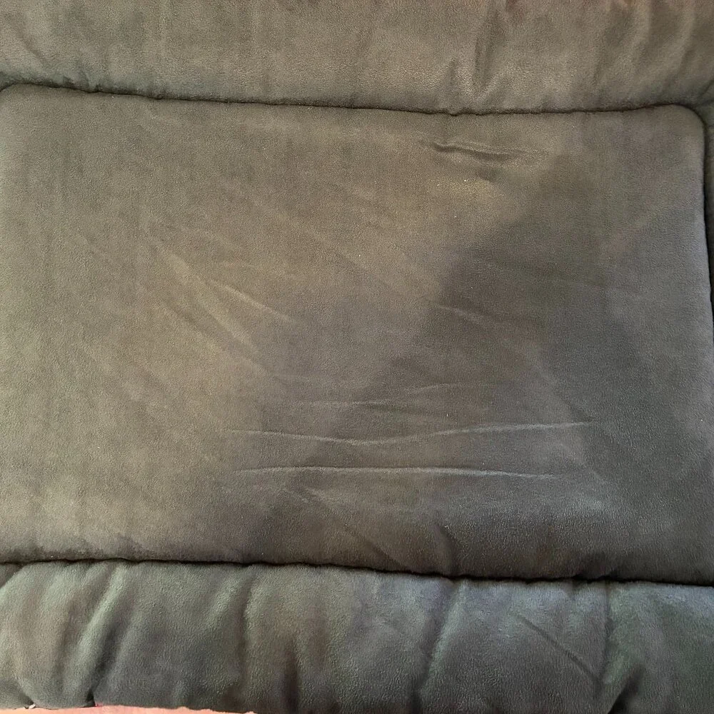Pet Play Dog Bed (large) and New Toy
